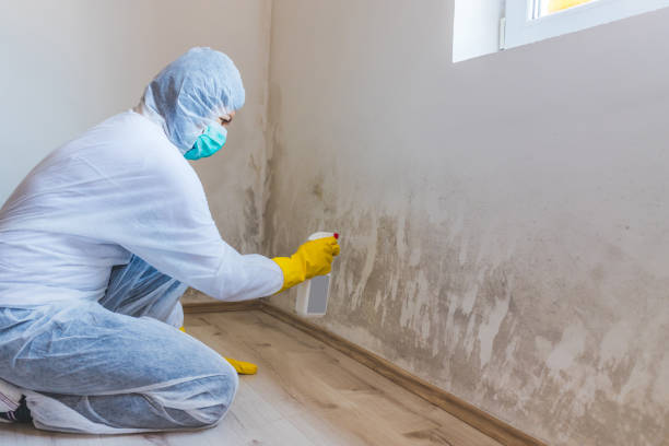 Mold Remediation specialist working in Largo