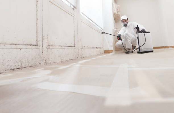 Black mold remediation team in Largo